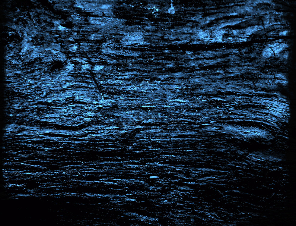 wpaef3f36c_0f.jpg